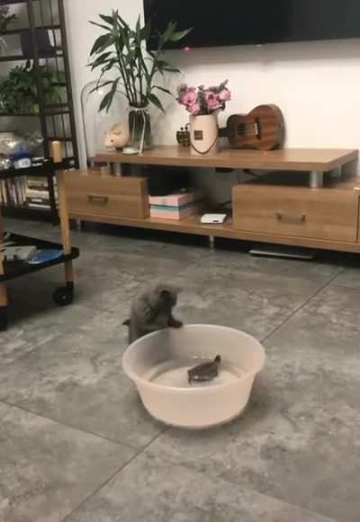 "Did the thing just move..? holy crap! it moved!!!"