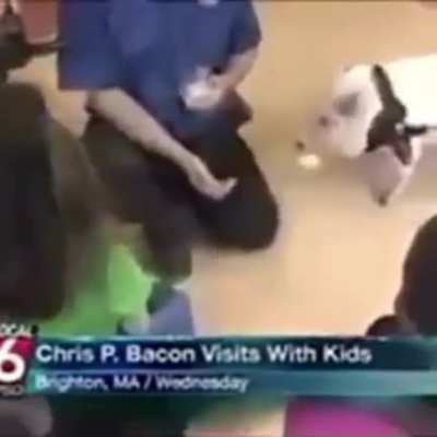 Chris P. Bacon