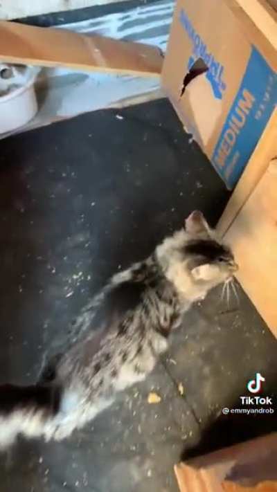 She’s so proud ?