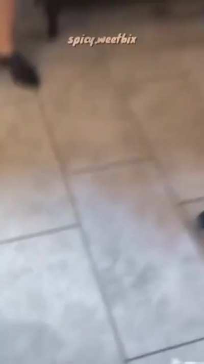 SwerveClips video u6aFQRoJ6B