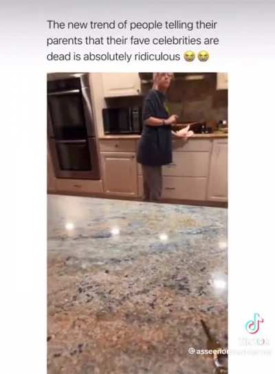 TikTok pranks on family