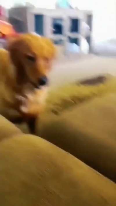 ??