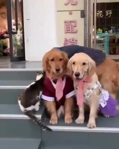 Making sure they all pose for this one.?