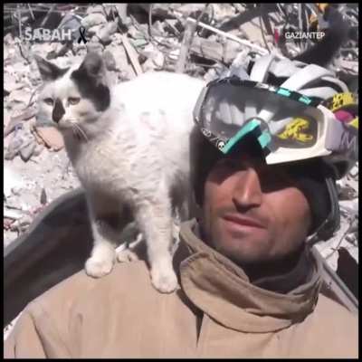 Cat Saved By Fire Crew In Gaziantep Turkey After Earthquake Won't Leave Their Side