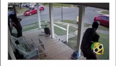 The dog just wanted to meet its neighbors.