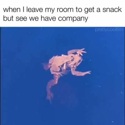 back to the shadows