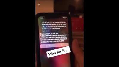 Siri Moans