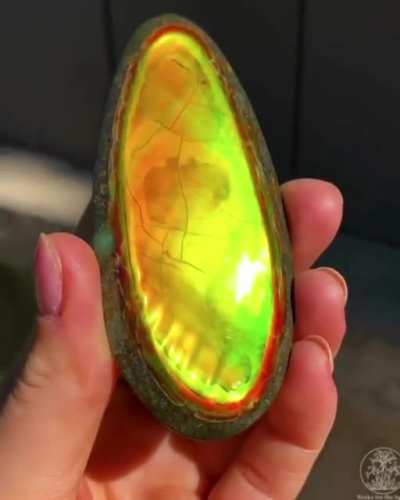 ? Colour morphing Ammolite