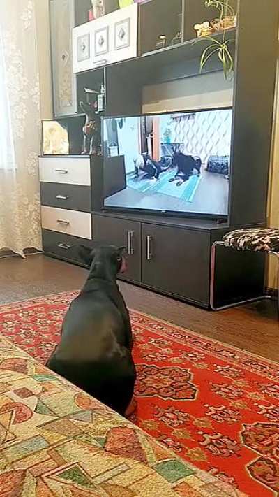Following yoga instructions