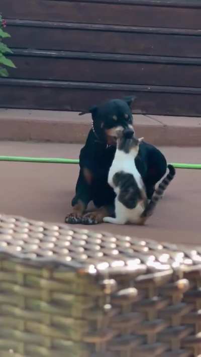 Maybe Maybe Maybe