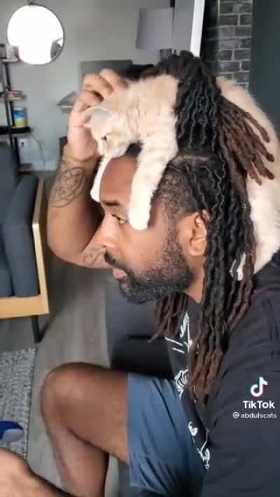 Everyone put on your thinking cats