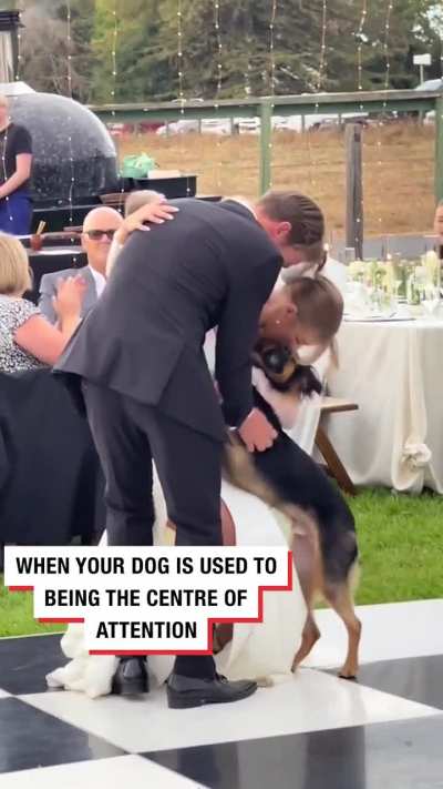 What da dog doin