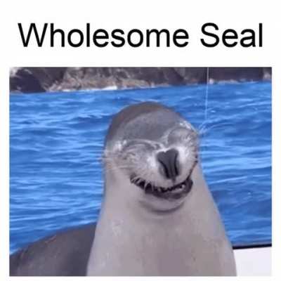Realistic version