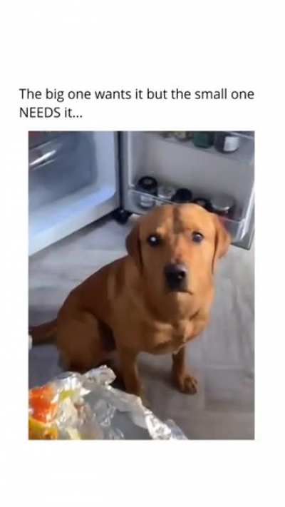 I needs it