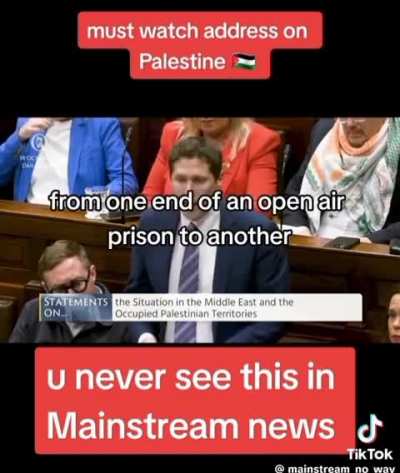 To stay silent for Palestine ??