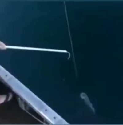 Fishing.
