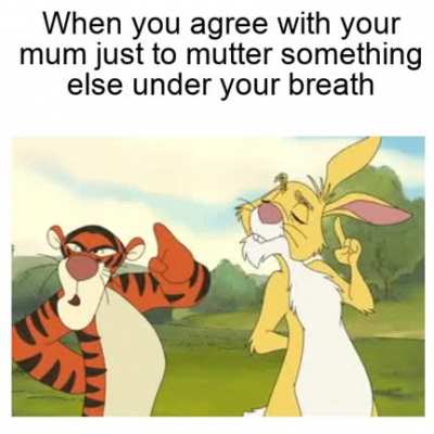 What did you just say?