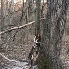 Just what exactly happened here?