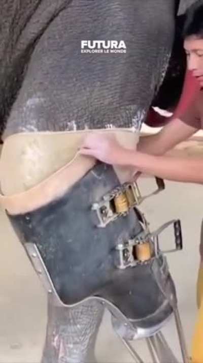 New leg ?