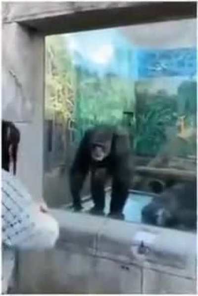 You seeing this shit?