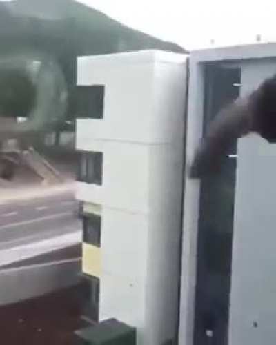 Incoming