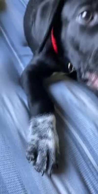 love this video?