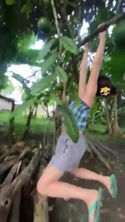 Tree: "vengeance is mine"