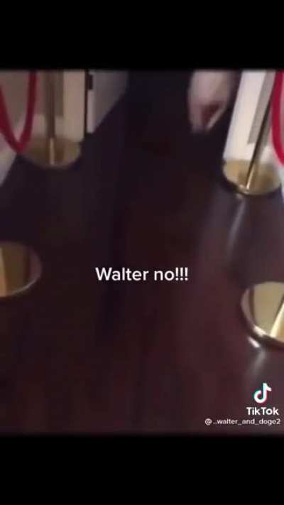 Walter no!
