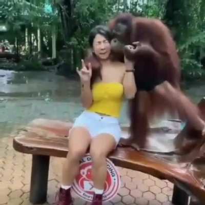 Happy monkey