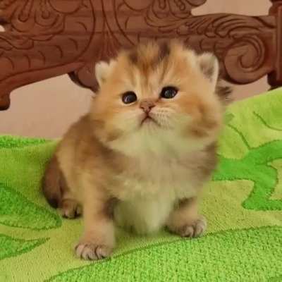 Such a cutie pie