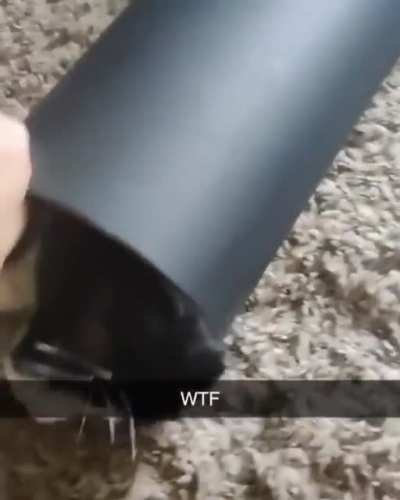Mostly liquid
