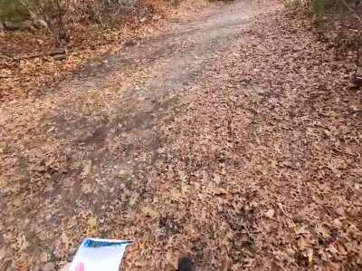 [OC] I found a list online called the "21 Rules Of Safe Hiking" and thought that it might be funny to try to break them all in one quick trip