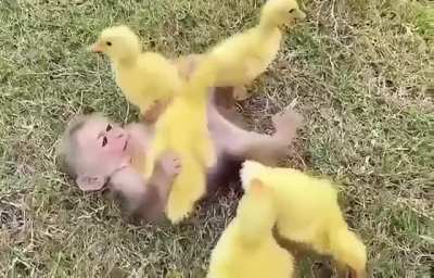 Playmates