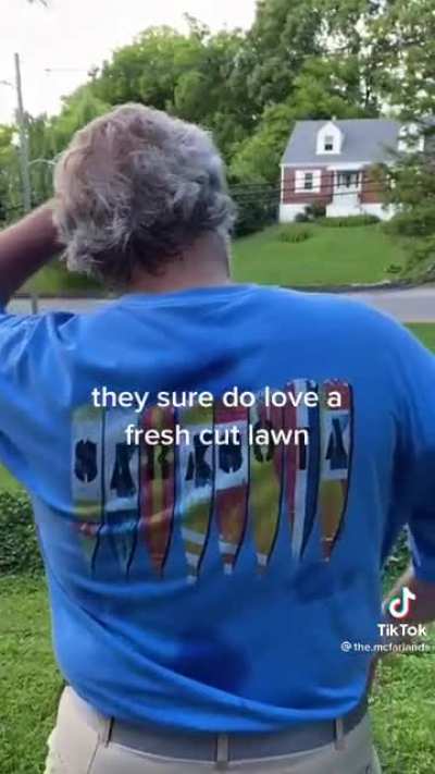 A dads twist to the trend