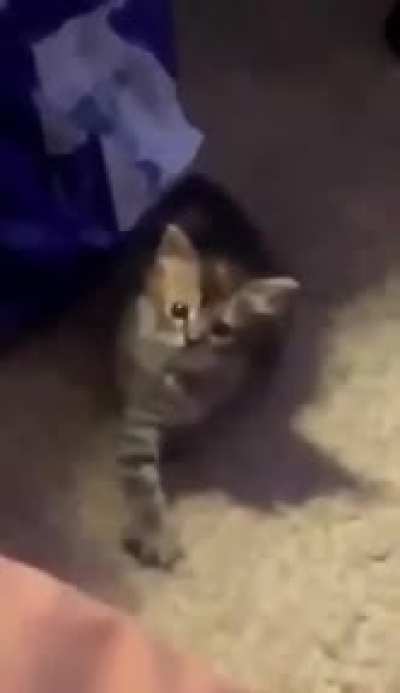 I ain't coming! you come over here