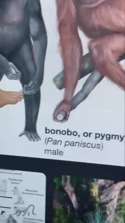Three of them
