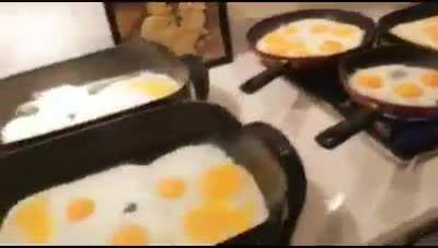 egg