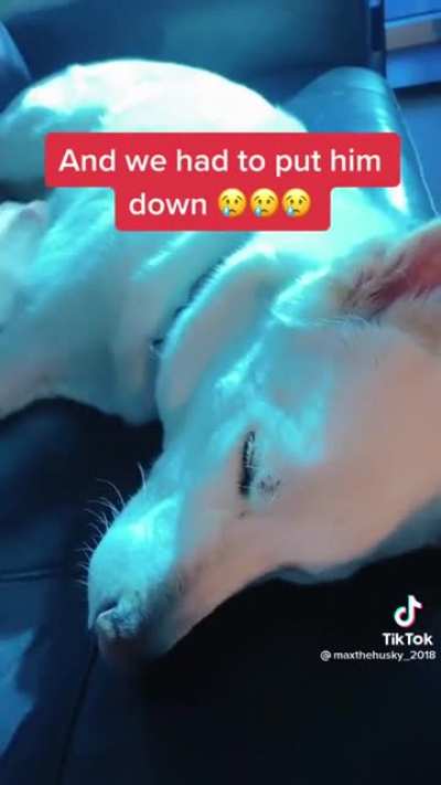 Bad Max