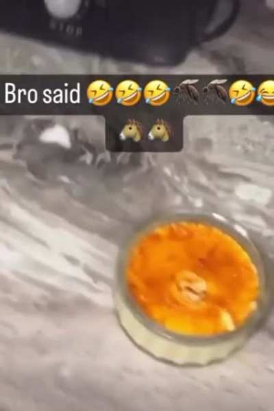 kills me every time?? watch until the end