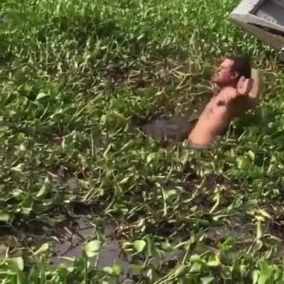 HMB While I Dive In Here