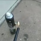 Not the brightest