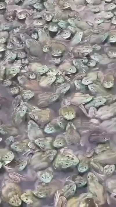 Happy wednesday, please one person take one