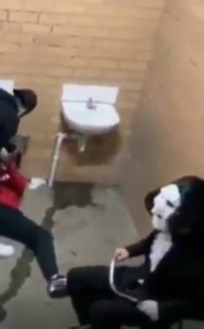 Iâve always wondered what public bathrooms are like