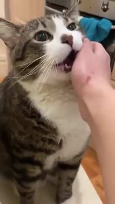 Maybe maybe maybe