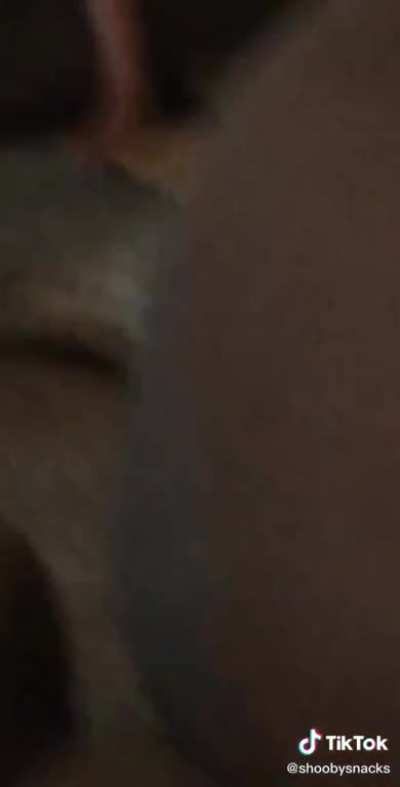 Boink