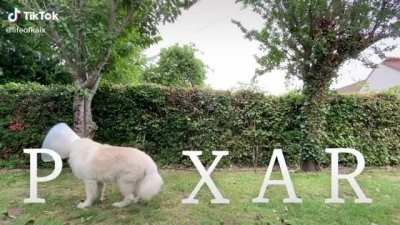 New Pixar intro