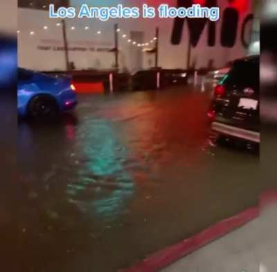 California Cyclone Storm ??‍♀️