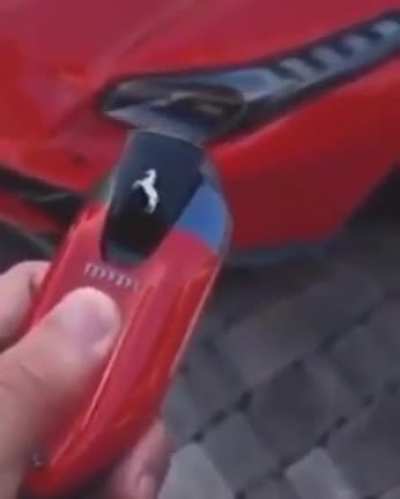 Fancy car keys
