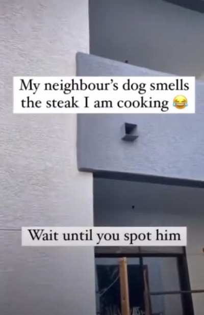 He’s having the time of his life