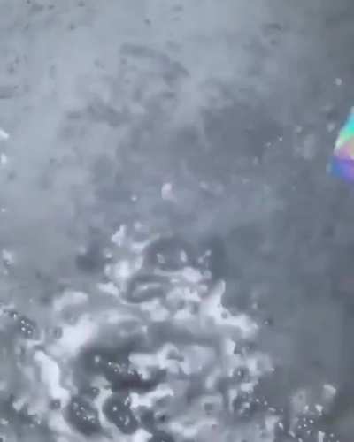 Fake holo bath bomb. Please ??